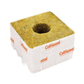 Cultiwool 100 mm (4") Cubes – Large Hole (38/35)