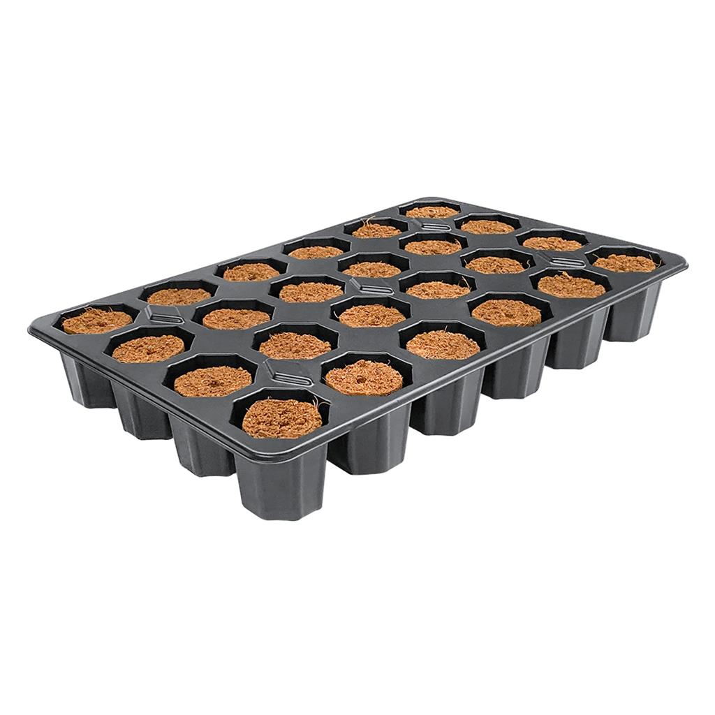 ROOT!T Dry Peat Free 24 Cell Filled Tray