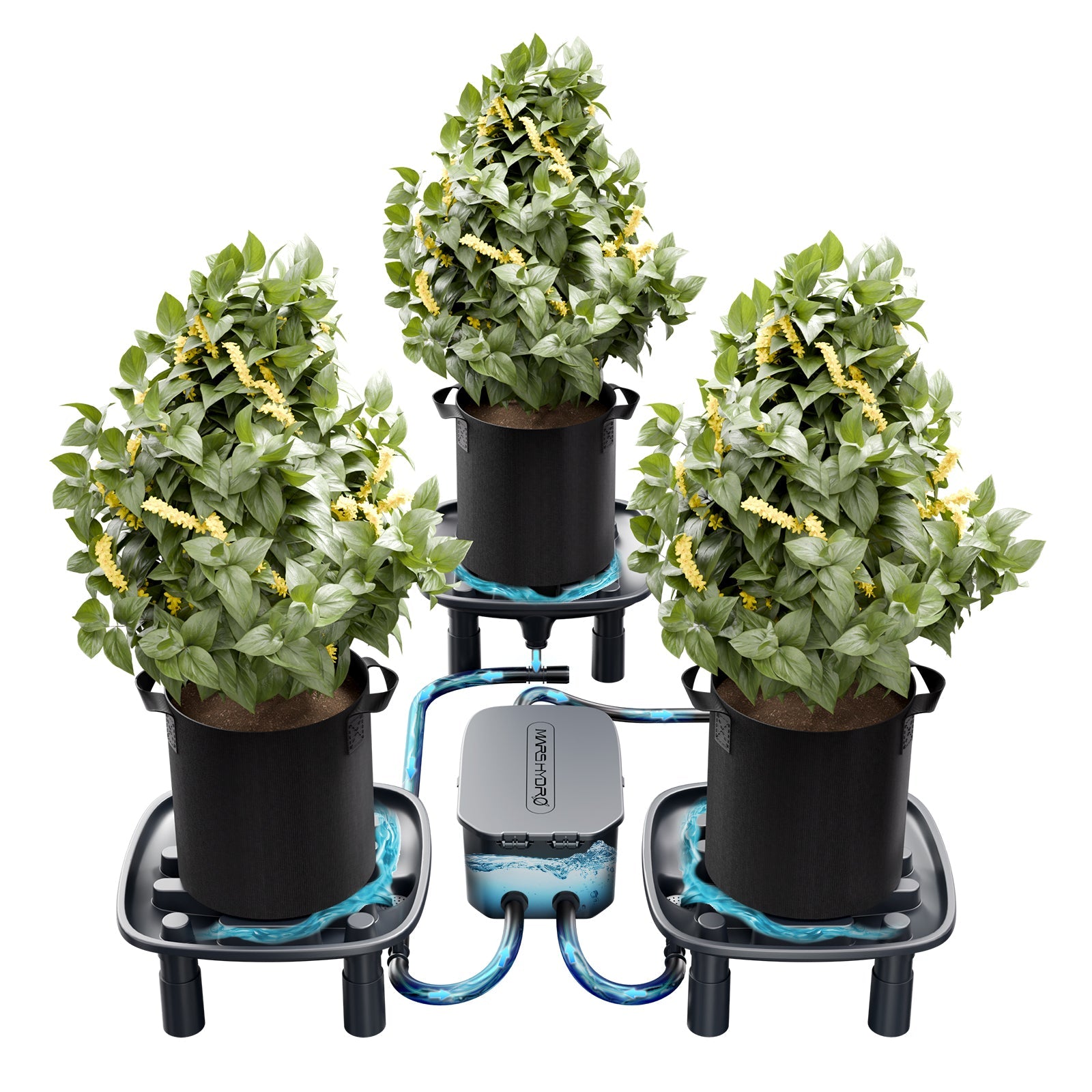 Mars Hydro Auto-Drainage System 3-Pack Runoff Trays – Water Pump – Grow Bags – for Grow Tents Garden 3 Plants