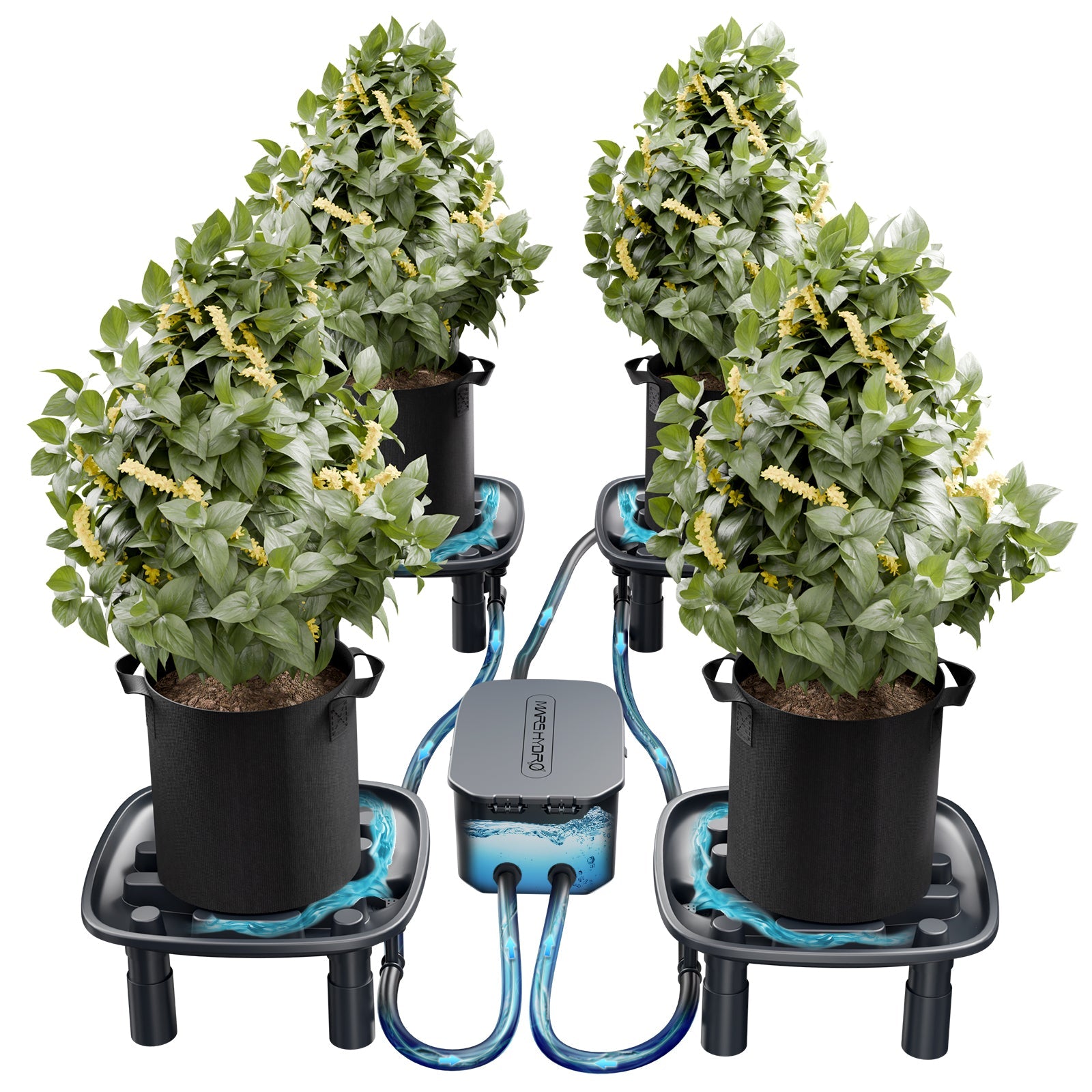 Mars Hydro Auto-Drainage System with 4-Pack Runoff Trays – Water Pump – Grow Bags