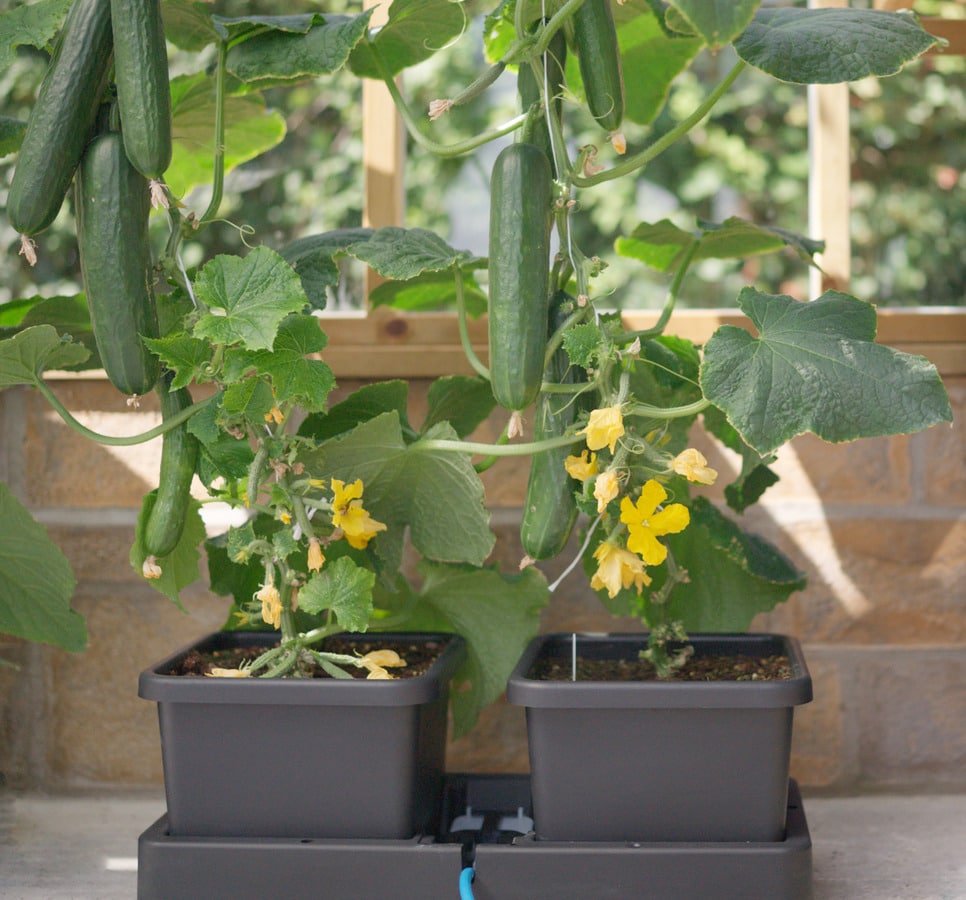 AutoPot easy2grow Extension Kit – product view 5