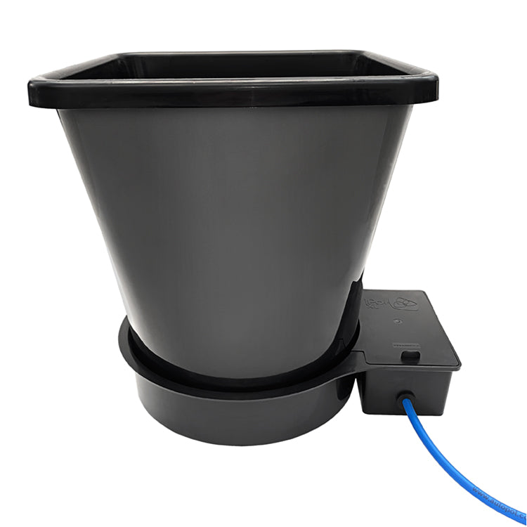 AutoPot 1Pot XL Module