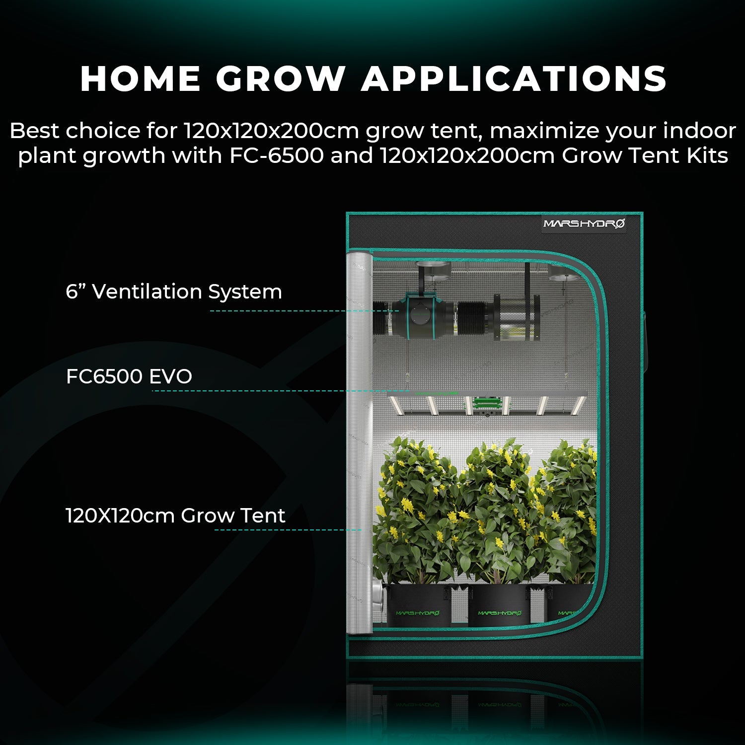 Mars Hydro FC 6500-EVO Samsung EVO Commercial Full Spectrum LED Grow Light for 150 × 150 cm Grow Tent – product 