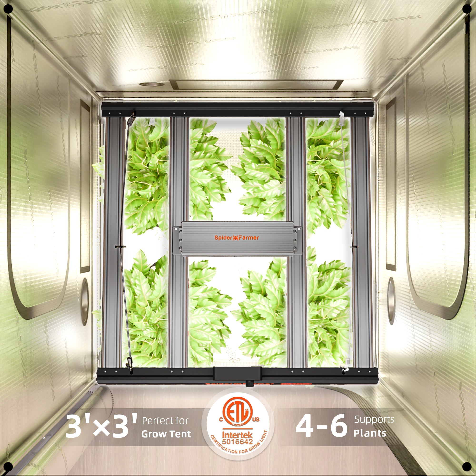 Spider Farmer G3000 300 W Dimmable Full Spectrum Grow Light – product view 4