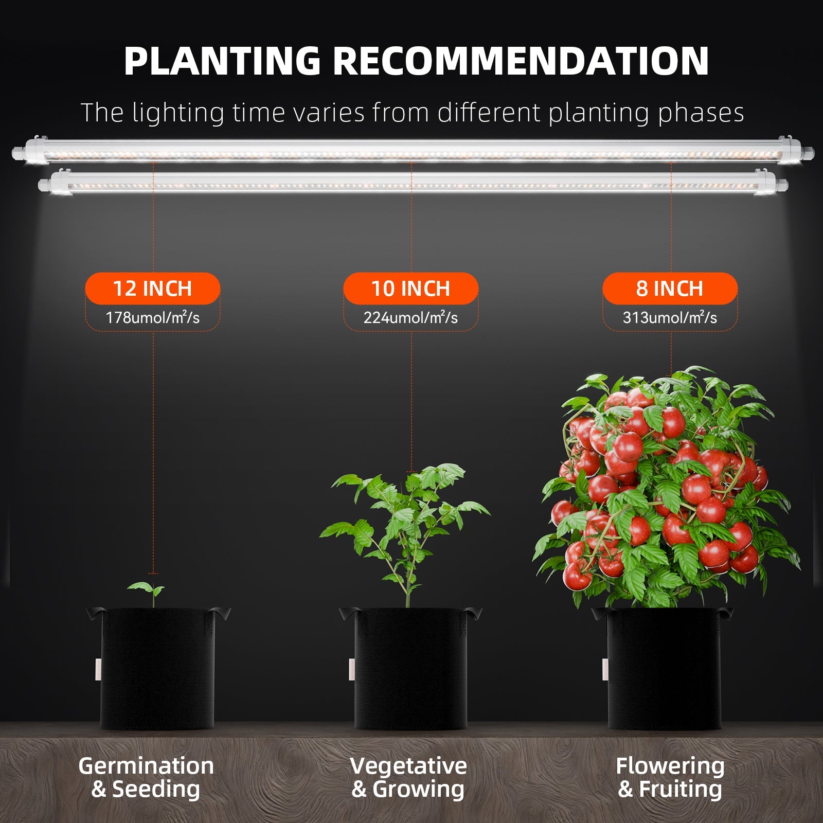 Spider Farmer Glow80 80 W LED Grow Light Bars, Full Spectrum, IP65 Waterproof, Linkable Lamps – product view 4