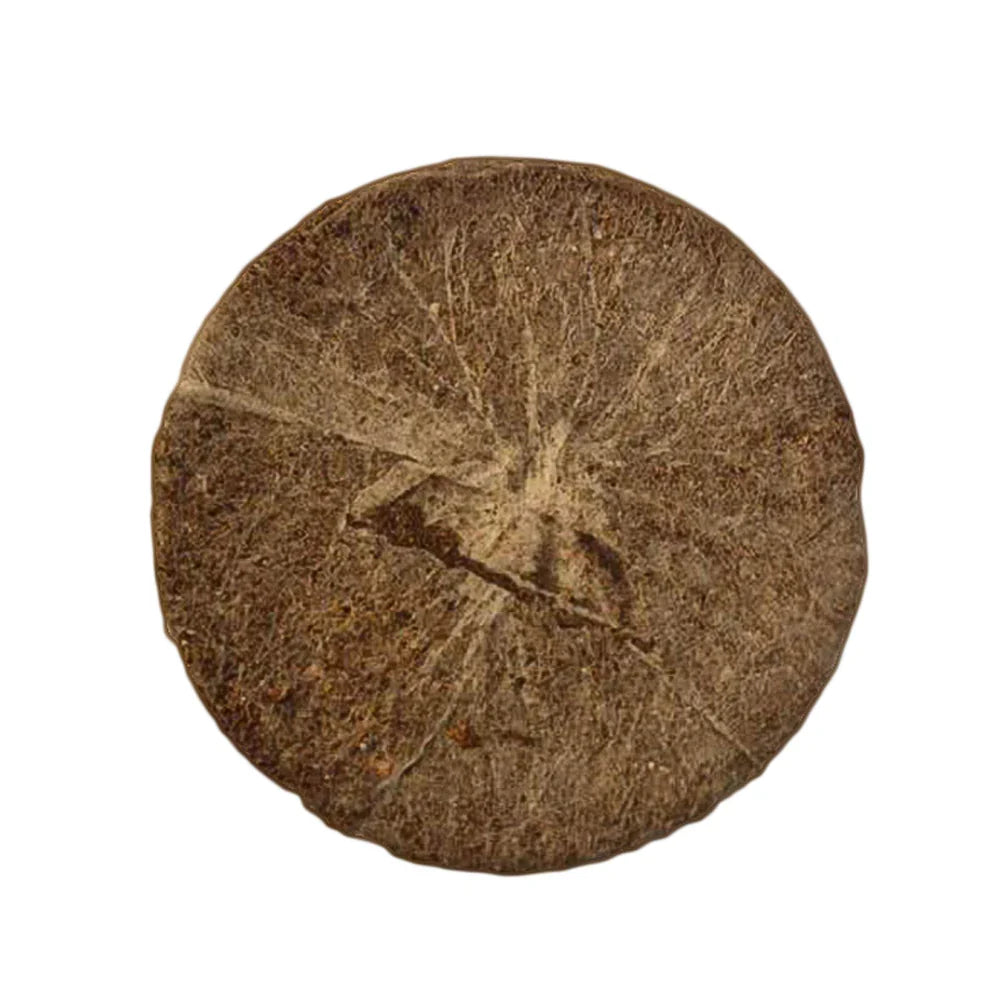 Jiffy-7C Peat Coir Plug 39 × 39 mm