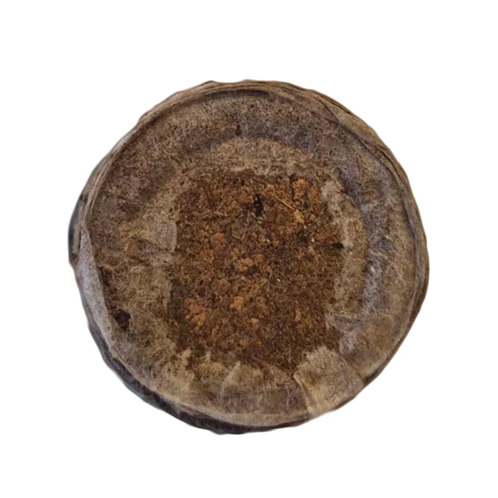 Jiffy-7C Peat Coir Plug 39 × 39 mm – product view 2