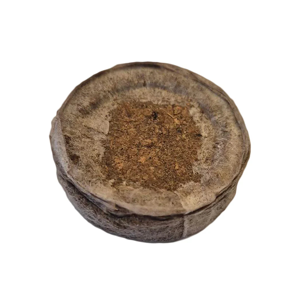 Jiffy-7C Peat Coir Plug 39 × 39 mm – product view 3