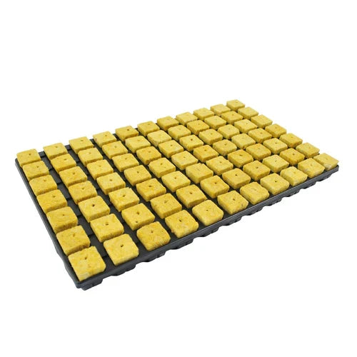 Cultiwool CRB Large Propagator Plugs
