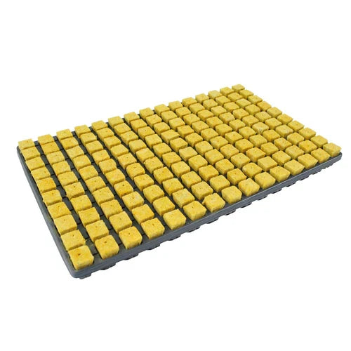 Cultiwool CRB Large Propagator Plugs – product view 2