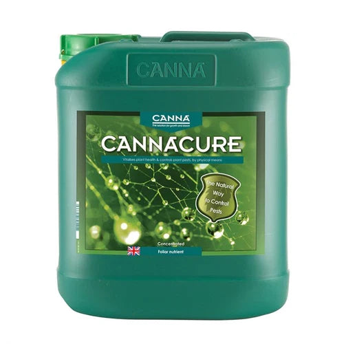 Cannacure – product view 3