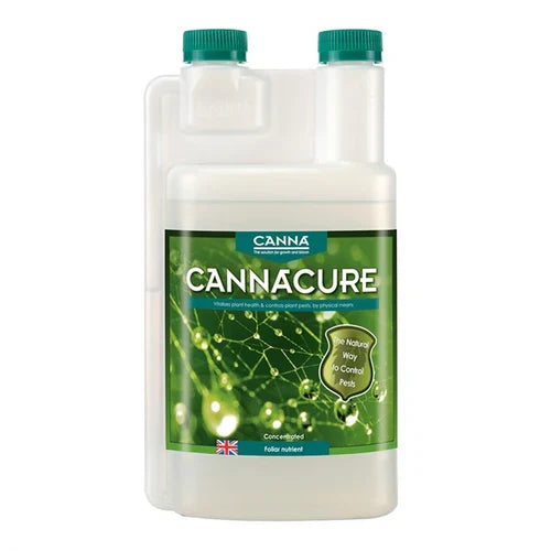 Cannacure – product view 2