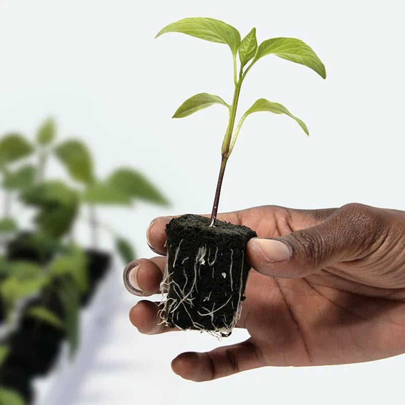 Growth Technology Root Riot – product view 6