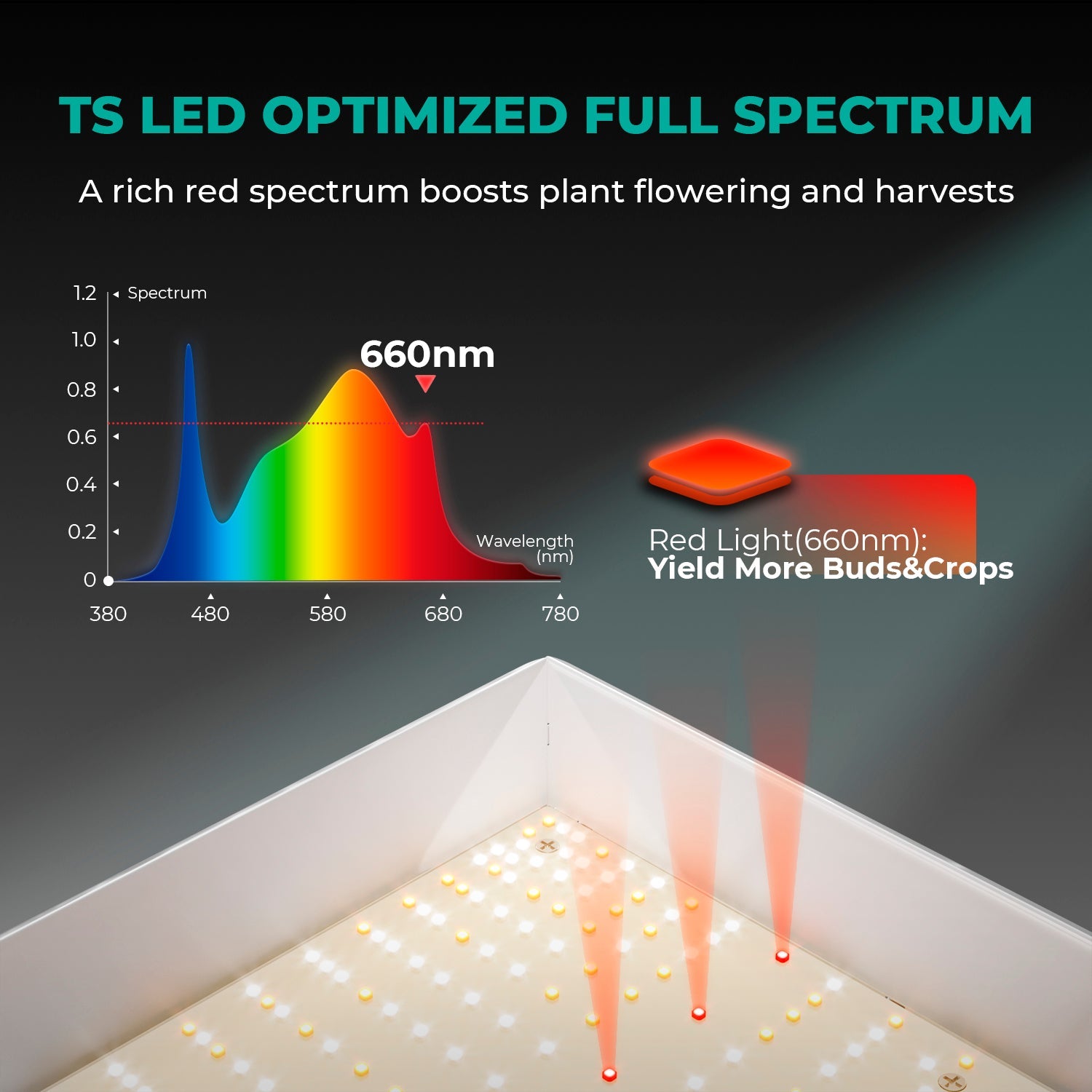 Mars Hydro TSL2000 Complete Grow Tent Kit – product view 3