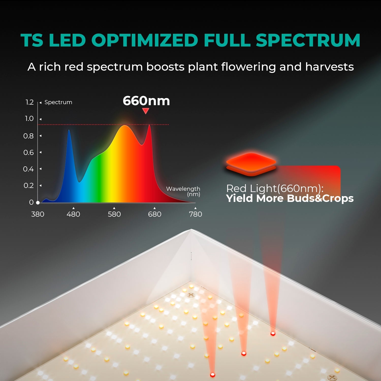 Mars Hydro TSW2000 Complete Grow Tent Kit – 300 W LED Grow Light – 120 × 120 × 200 cm Indoor Grow Tent – product view 3