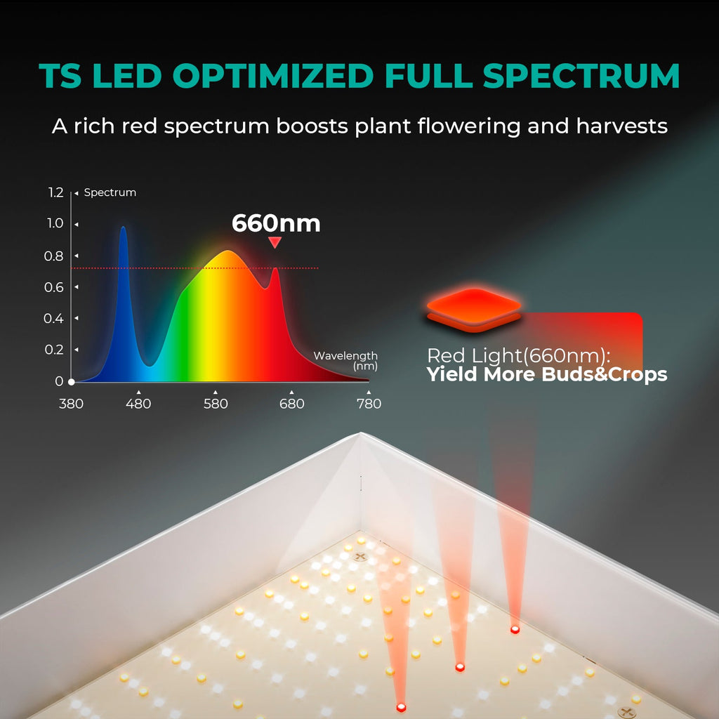 Mars Hydro TS1000 150W Dimmable Full Spectrum LED Grow Light for 1–3 Plants – product view 8