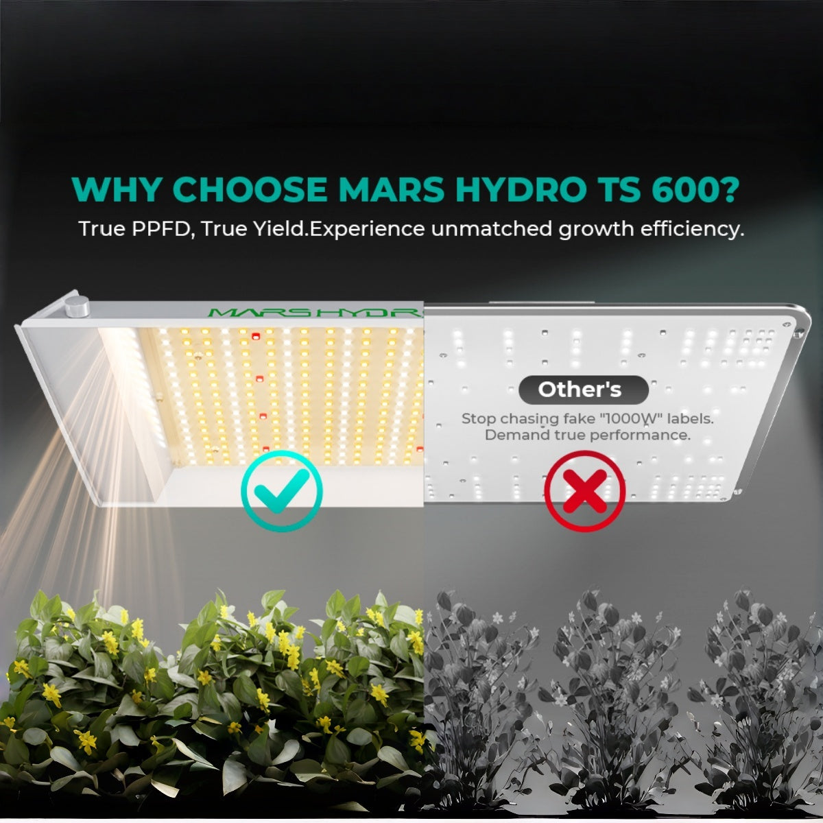 Mars Hydro TS600 100W Full Spectrum Dimmable LED Grow Light – product view 3