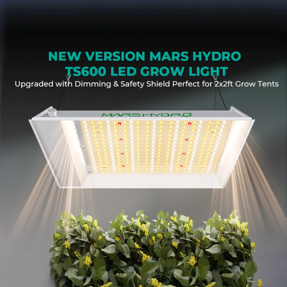 Mars Hydro TS600 100W Full Spectrum Dimmable LED Grow Light