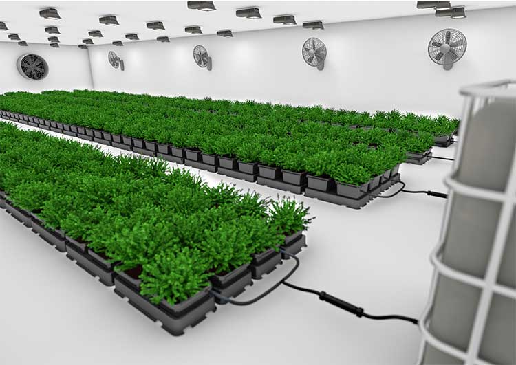 AutoPot easy2grow 4 (with 47 L Tank) – product view 4