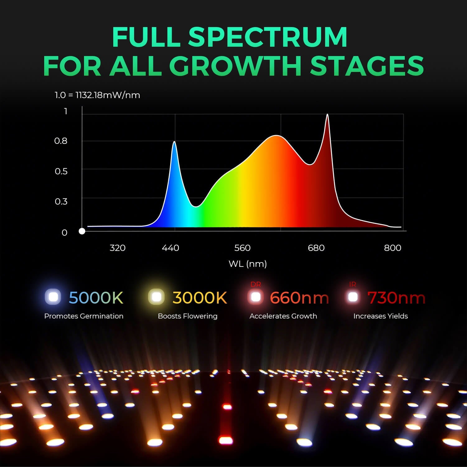 Mars Hydro SP 3000 – Upgraded Full Spectrum & Uniform PPFD 300 W LED for 2x4 Grow Tent – product view 2