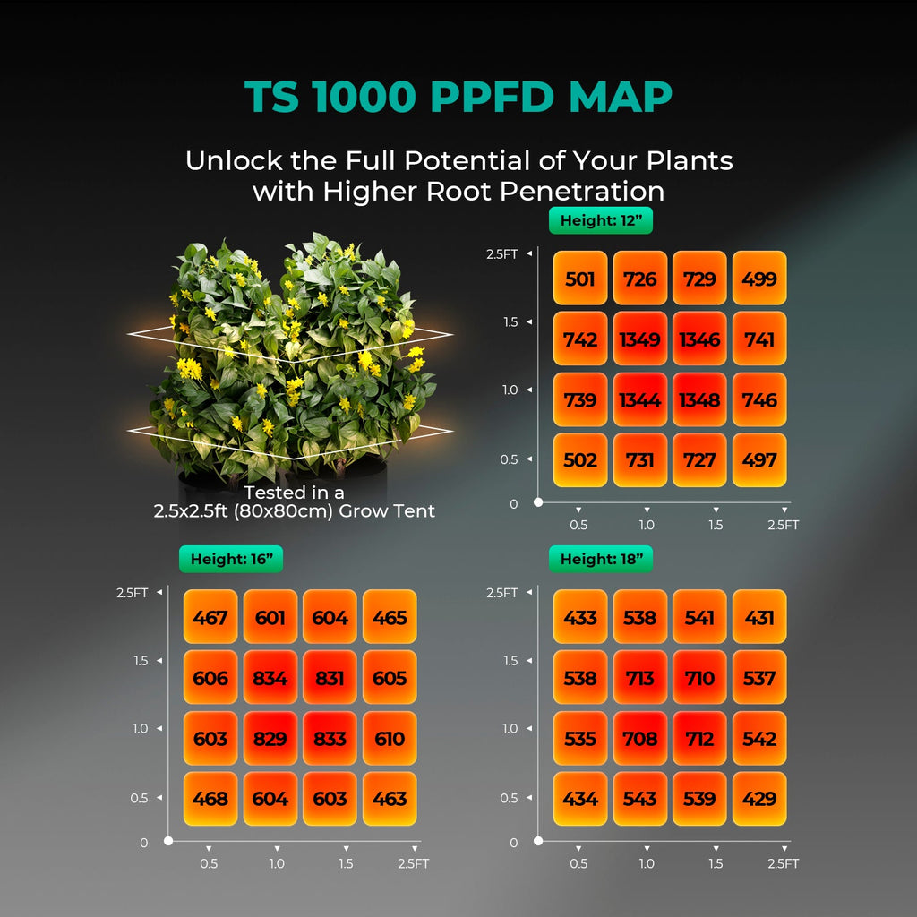 Mars Hydro TS1000 150W Dimmable Full Spectrum LED Grow Light for 1–3 Plants – product view 3